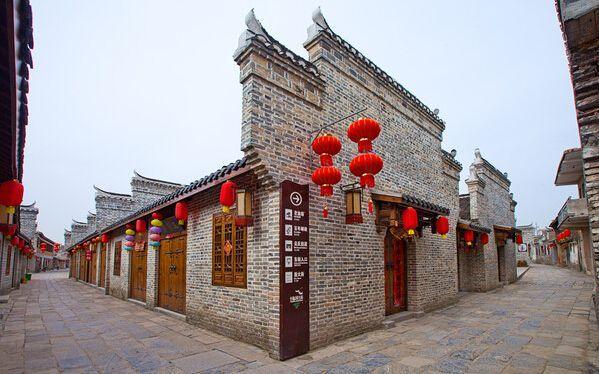 世界上最大的龟是什么？